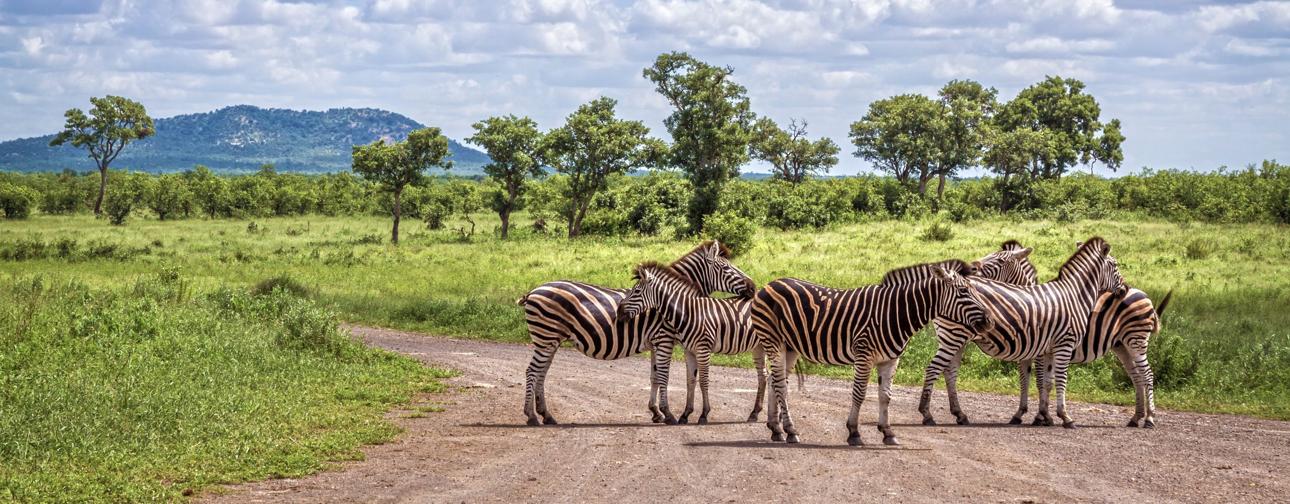 Cheap Flights to Africa - Kruger National Park, South Africa